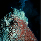A black smoker vent, red tubeworms off the coast of Oregon on the Juan de Fuca Ridge. Photo: University of Washington; NOAA/OAR/OER.